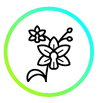 Orkideler
